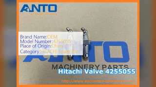 Hitachi-Bagger-Einstellfettventil 4255055