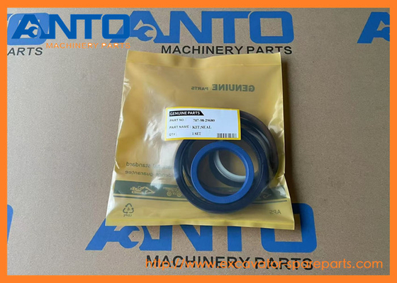 707-98-29680 7079829680 Dichtungskit für Komatsu-Gräber PC55MR